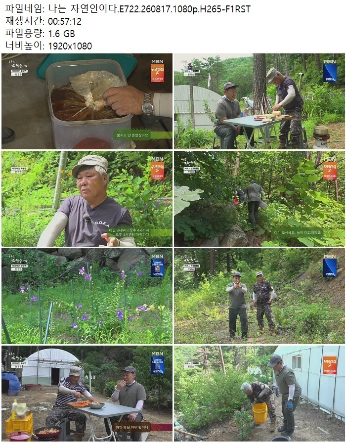 나는 자연인이다.E722.260817.1080p.H265