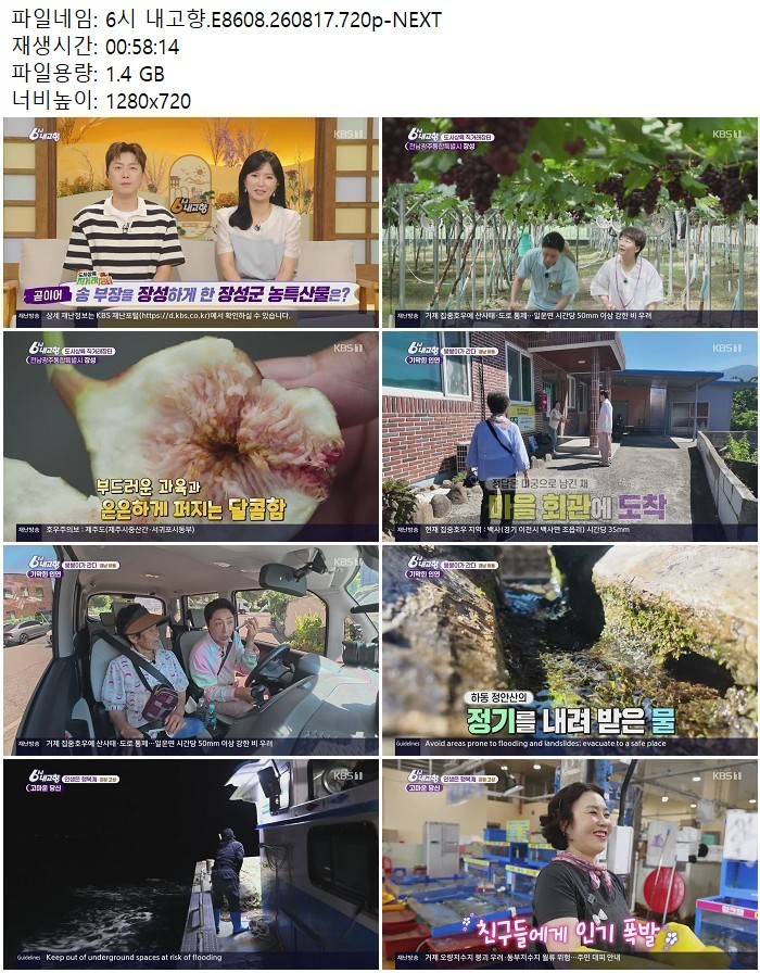 6시 내고향.E8608.260817.720p-NEXT