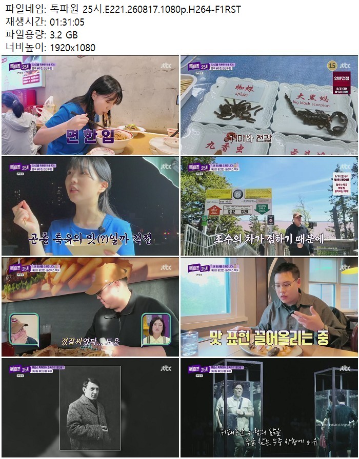톡파원 25시.E221.260817.1080p.H264