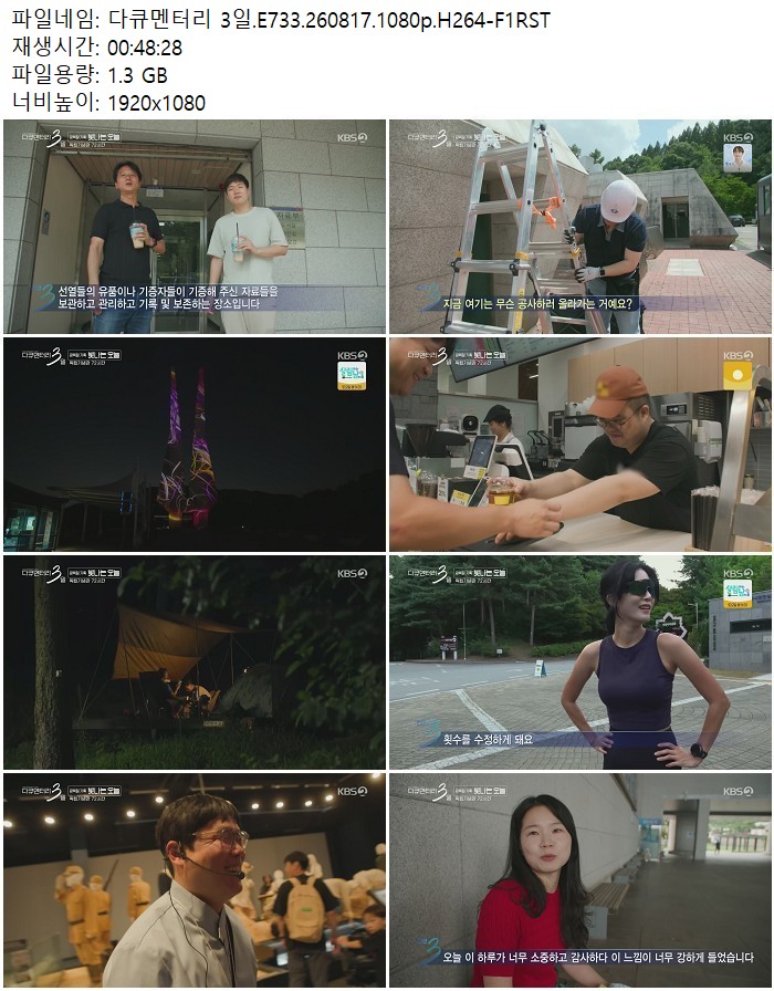 다큐멘터리 3일.E733.260817.1080p.H264