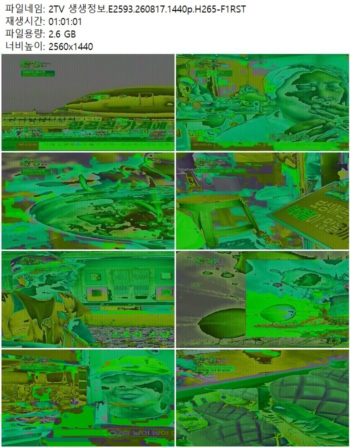 2TV 생생정보.E2593.260817.1440p.H265