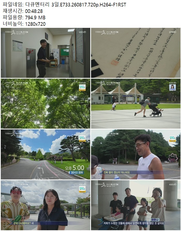다큐멘터리 3일.E733.260817.720p.H264
