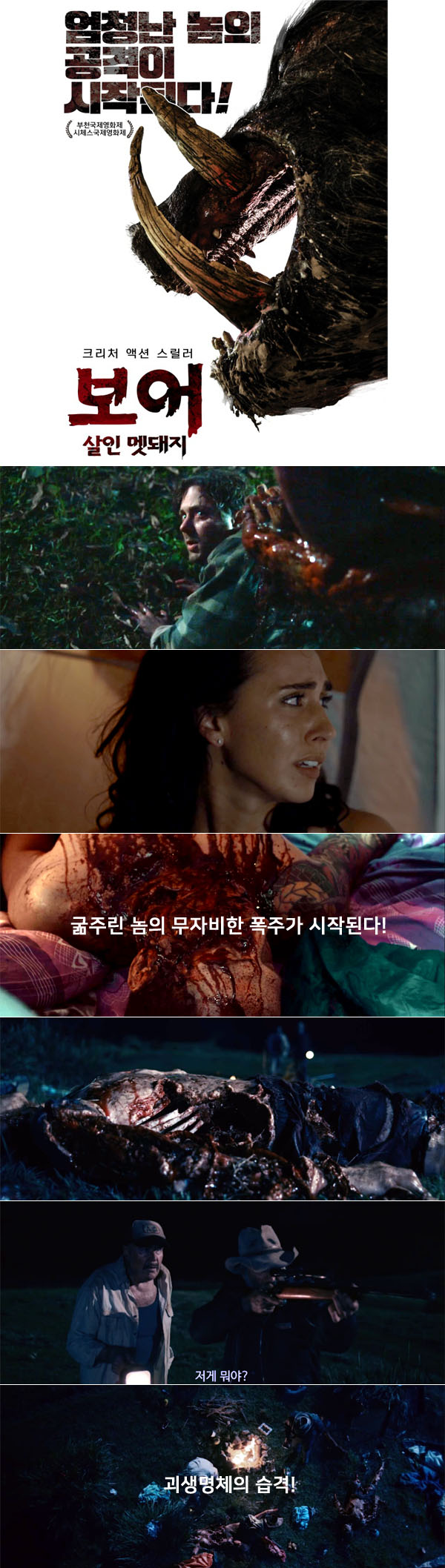 살인 야생 멧돼지 [ 보어 살인 멧돼지 ] 엄청난 공격 무자비한 폭..