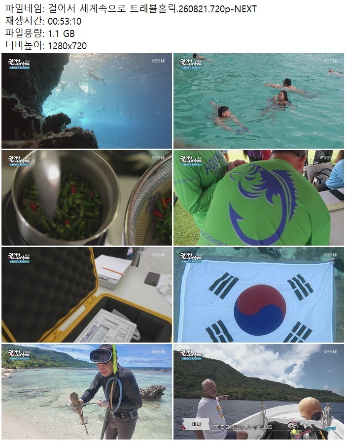 걸어서 세계속으로 트래블홀릭.260821.720p-NEXT
