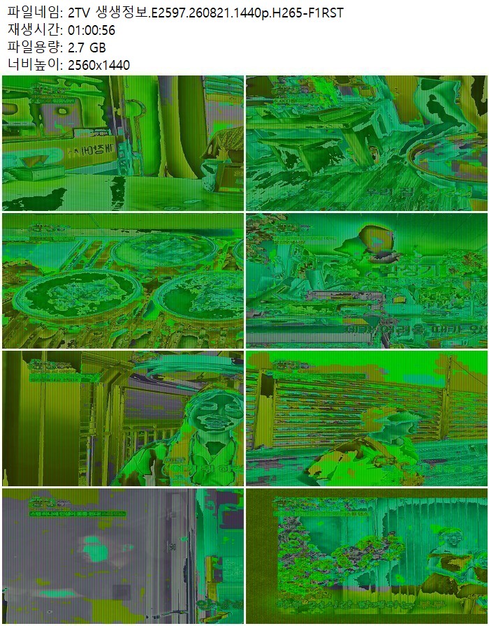 2TV 생생정보.E2597.260821.1440p.H265
