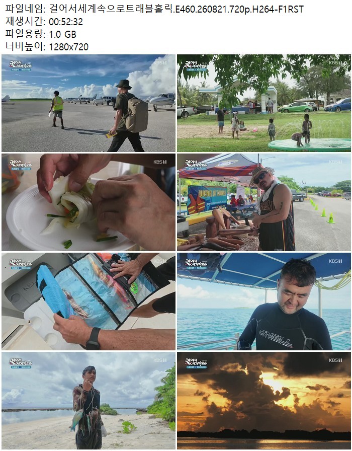 걸어서세계속으로트래블홀릭.E460.260821.720p.H264