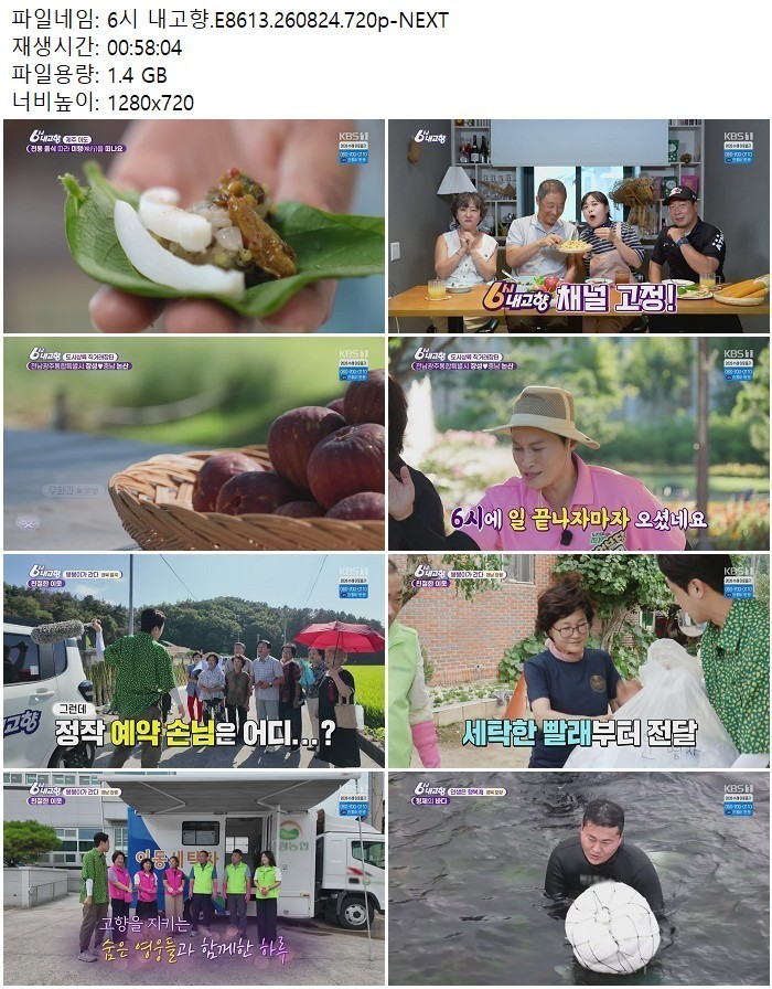 6시 내고향.E8613.260824.720p-NEXT