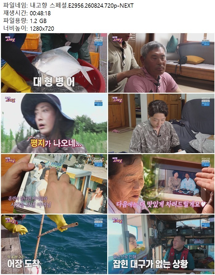 내고향 스페셜.E2956.260824.720p-NEXT