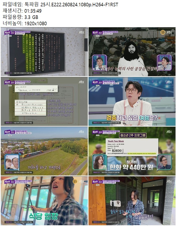 톡파원 25시.E222.260824.1080p.H264