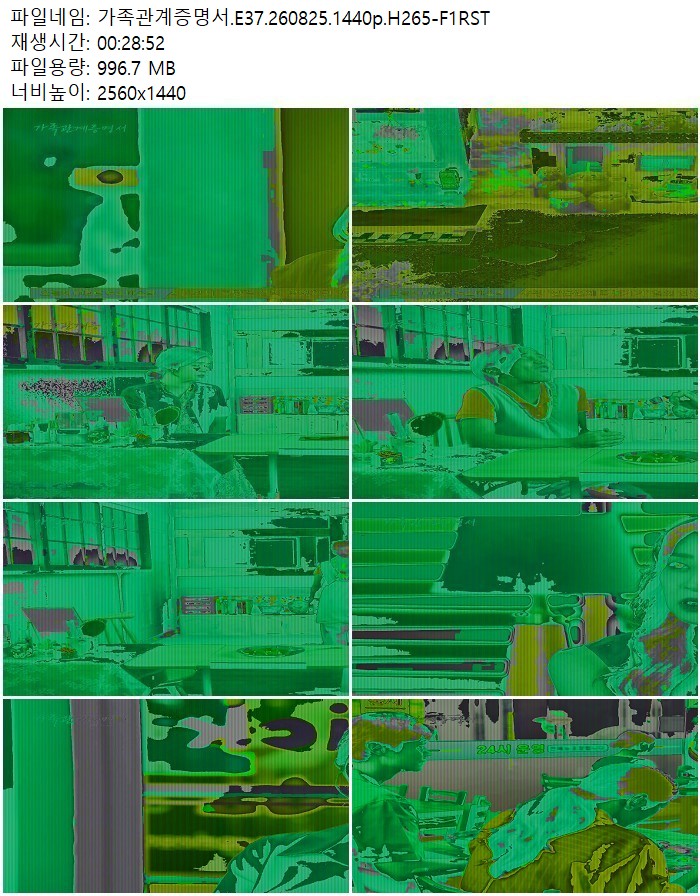 가족관계증명서.E37.260825.1440p.H265