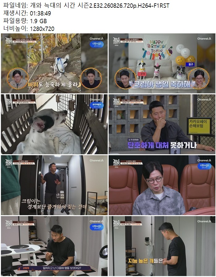 개와 늑대의 시간 시즌2.E32.260826.720p.H264-F1RST