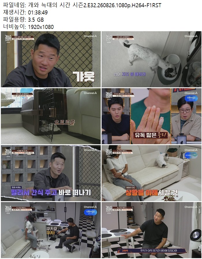 개와 늑대의 시간 시즌2.E32.260826.1080p.H264-F1RST