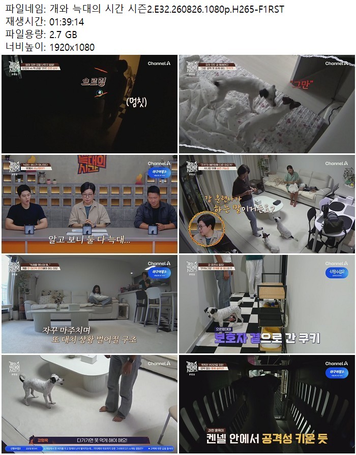 개와 늑대의 시간 시즌2.E32.260826.1080p.H265-F1RST