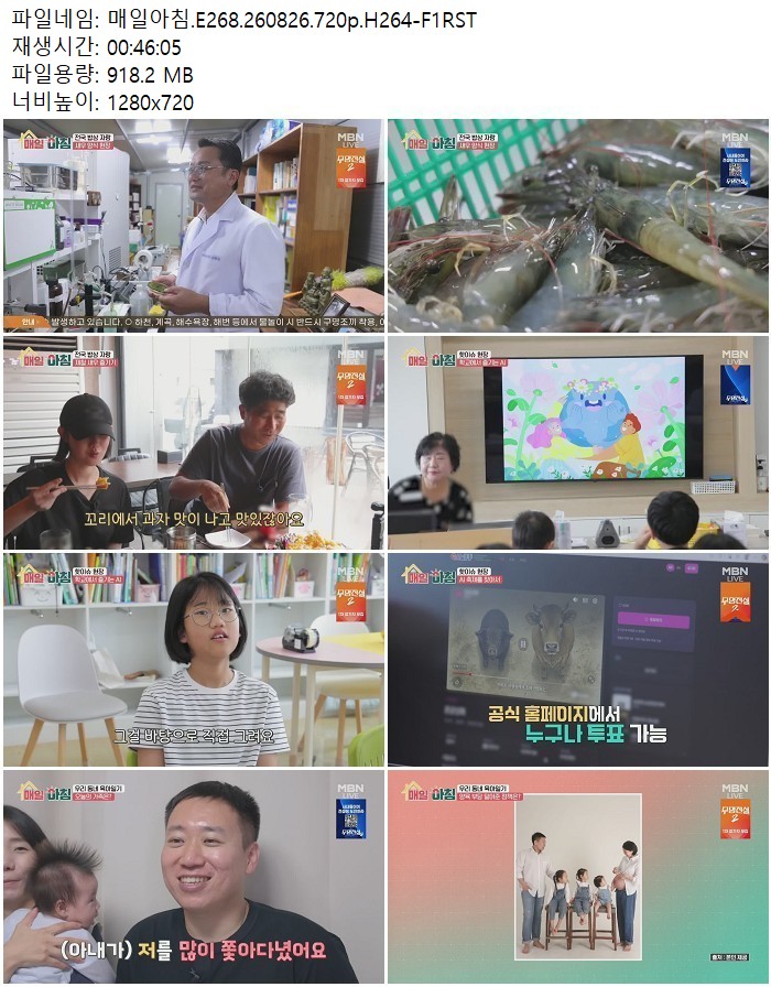 매일아침.E268.260826.720p.H264-F1RST