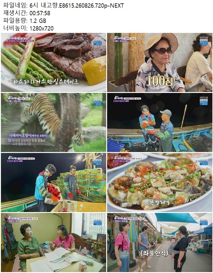 6시 내고향.E8615.260826.720p-NEXT