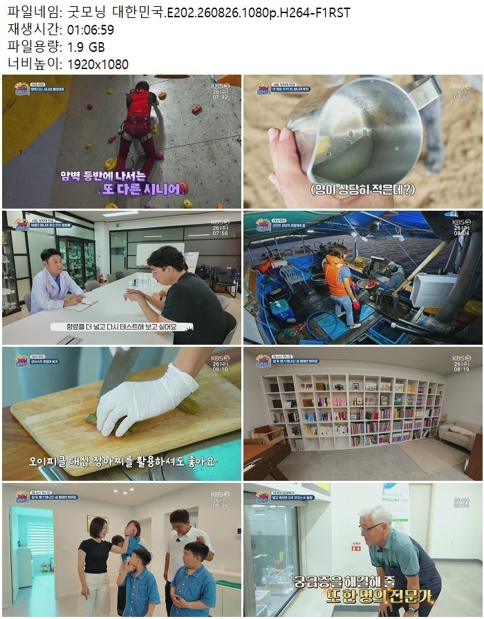 굿모닝 대한민국.E202.260826.1080p.H264