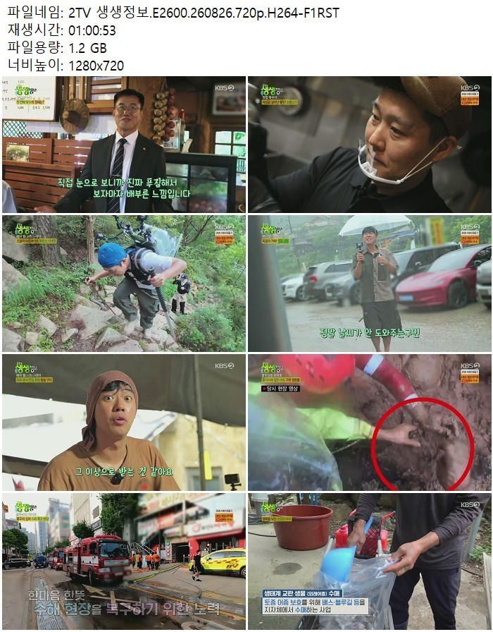 2TV 생생정보.E2600.260826.720p.H264