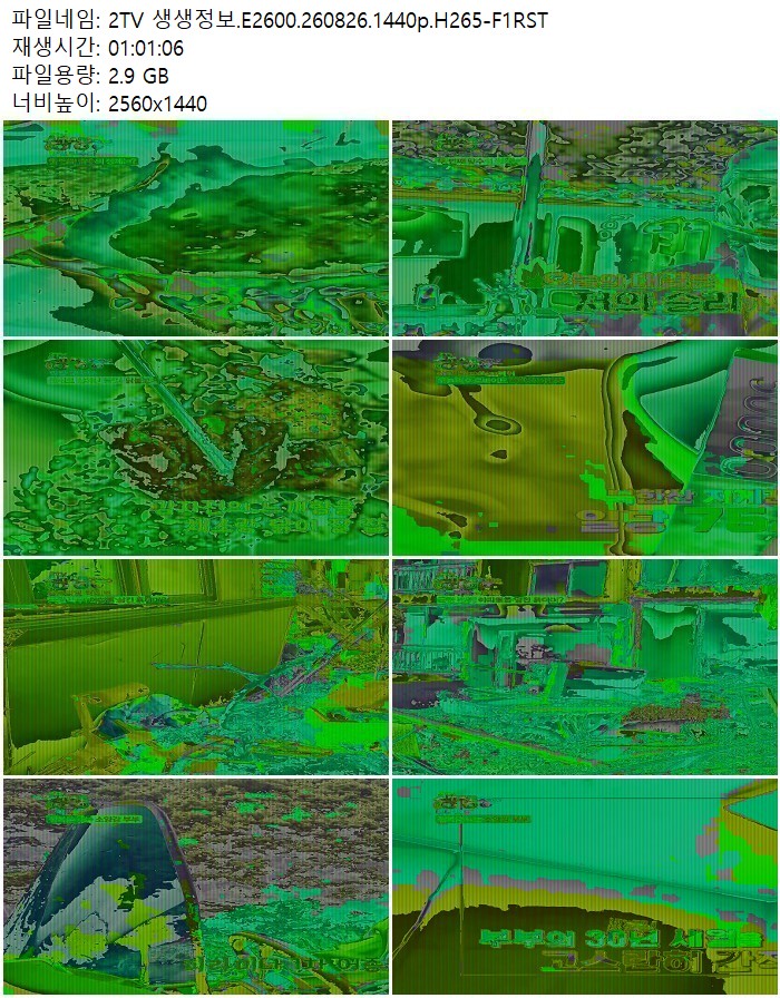 2TV 생생정보.E2600.260826.1440p.H265