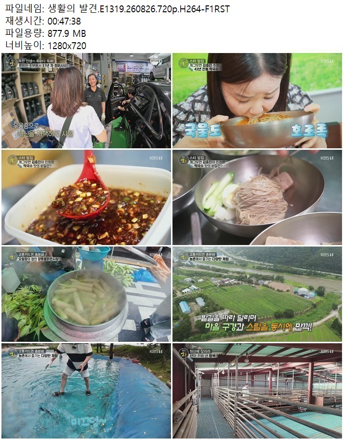 생활의 발견.E1319.260826.720p.H264