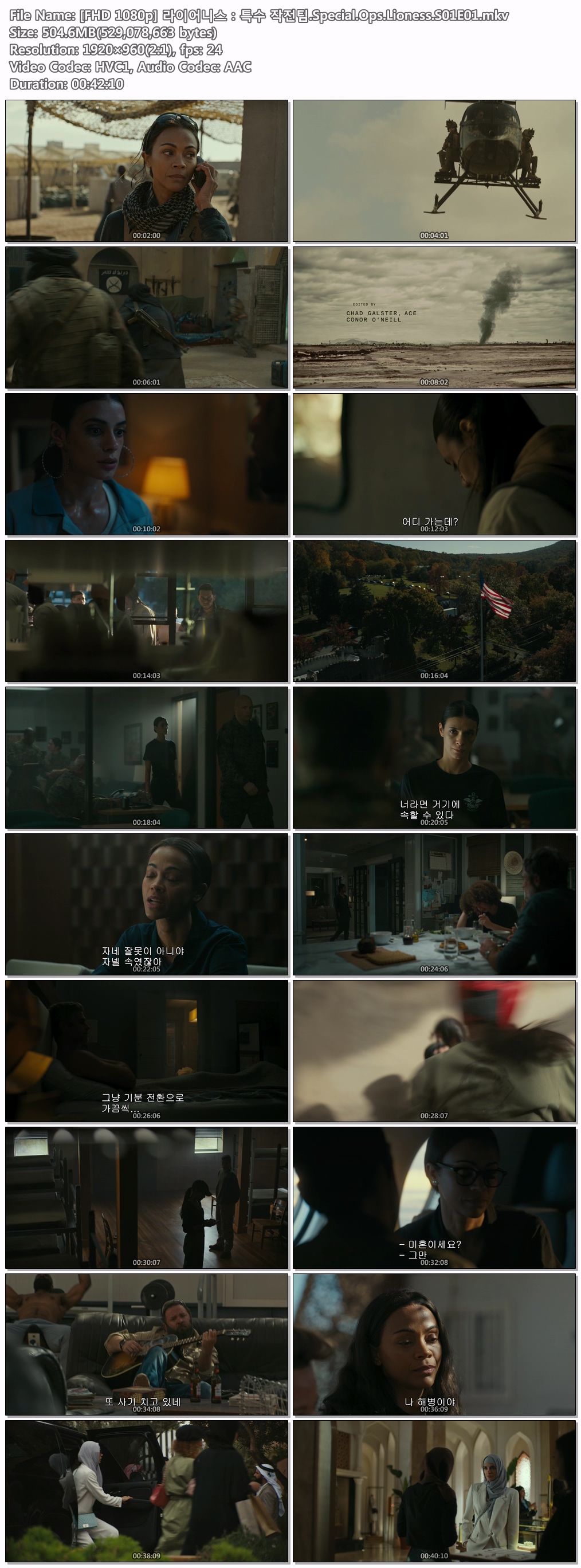 [Paramount+] 라이어니스 특수 작전팀(Special Ops Lioness) 시즌1