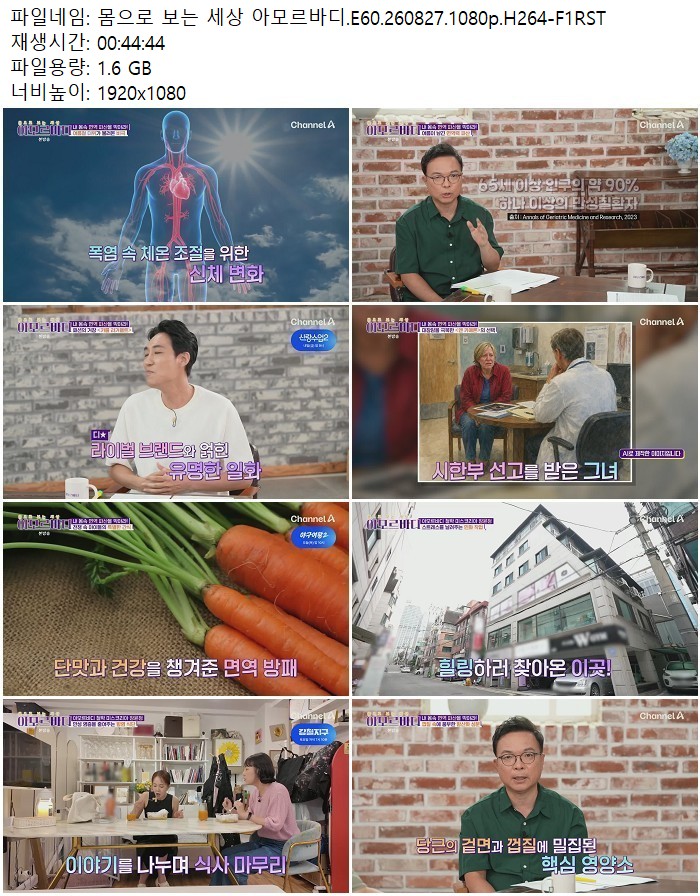 몸으로 보는 세상 아모르바디.E60.260827.1080p.H264