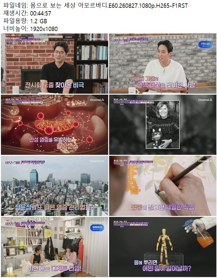 몸으로 보는 세상 아모르바디.E60.260827.1080p.H265