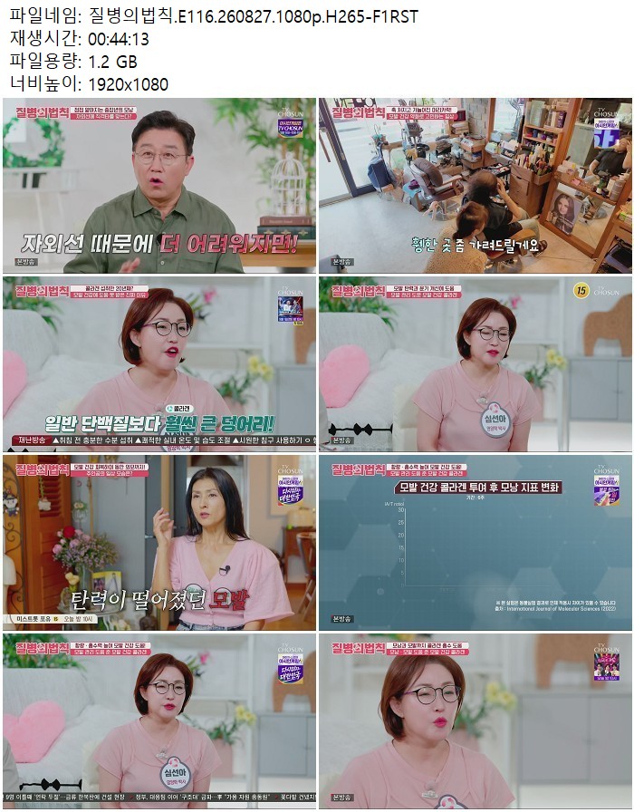 질병의법칙.E116.260827.1080p.H265