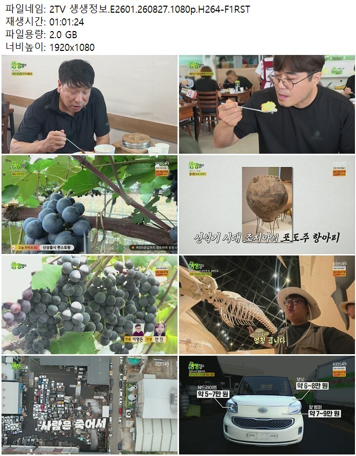 2TV 생생정보.E2601.260827.1080p.H264