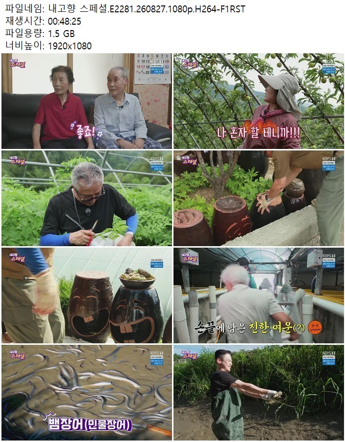 내고향 스페셜.E2281.260827.1080p.H264