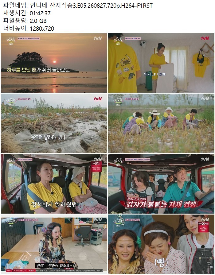 언니네 산지직송3.E05.260827.720p.H264