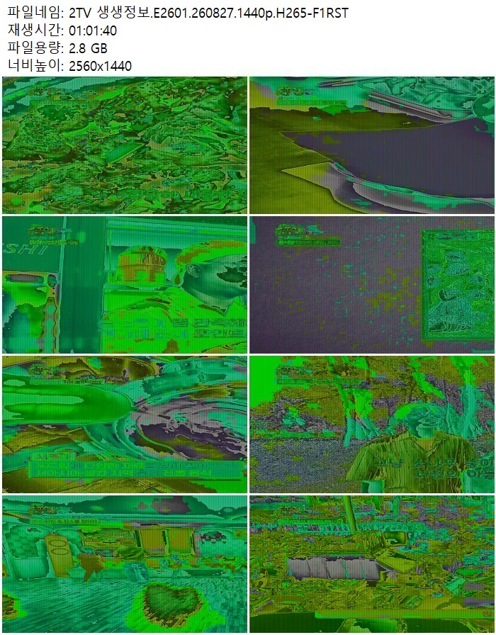 2TV 생생정보.E2601.260827.1440p.H265