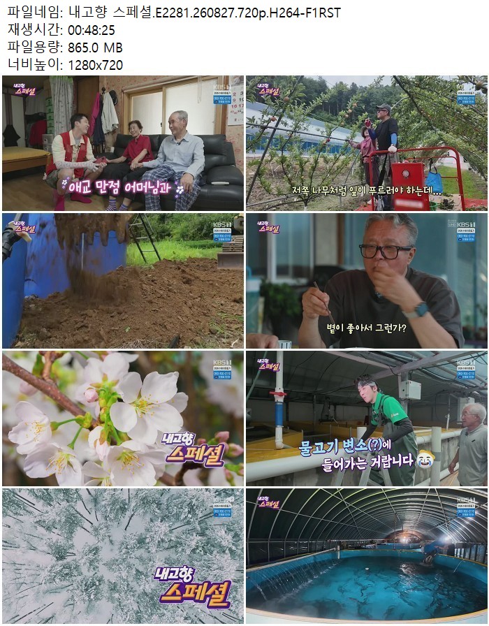 내고향 스페셜.E2281.260827.720p.H264