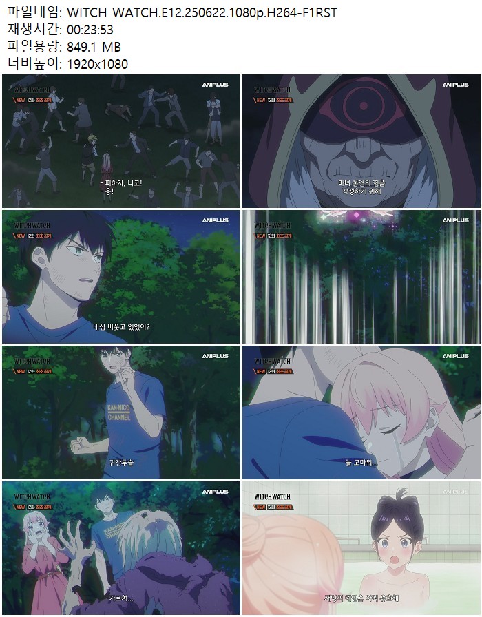 WITCH WATCH.E12.250622.1080p.H264