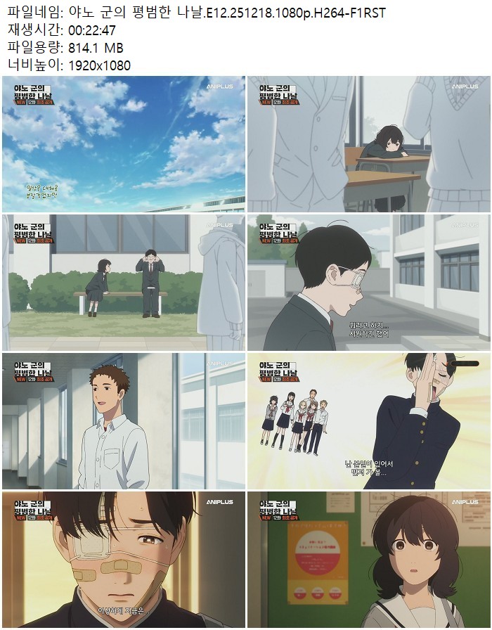 야노 군의 평범한 나날.E12.251218.1080p.H264