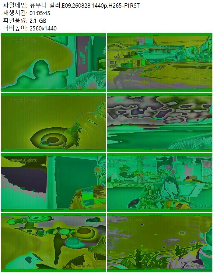 유부녀 킬러.E09.260828.1440p.H265