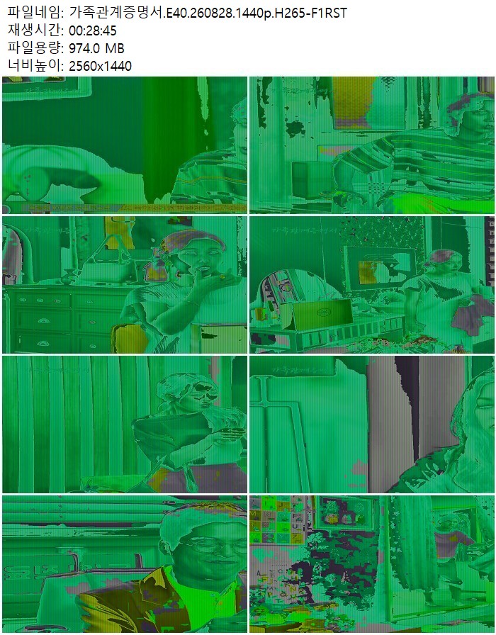 가족관계증명서.E40.260828.1440p.H265