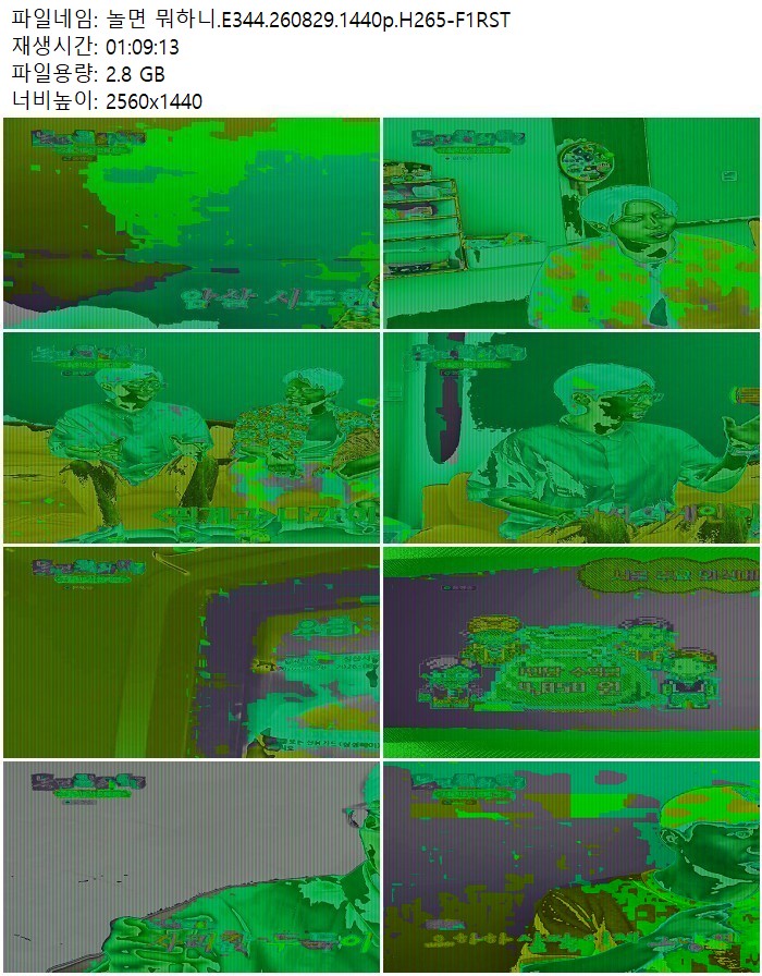 놀면 뭐하니.E344.260829.1440p.H265
