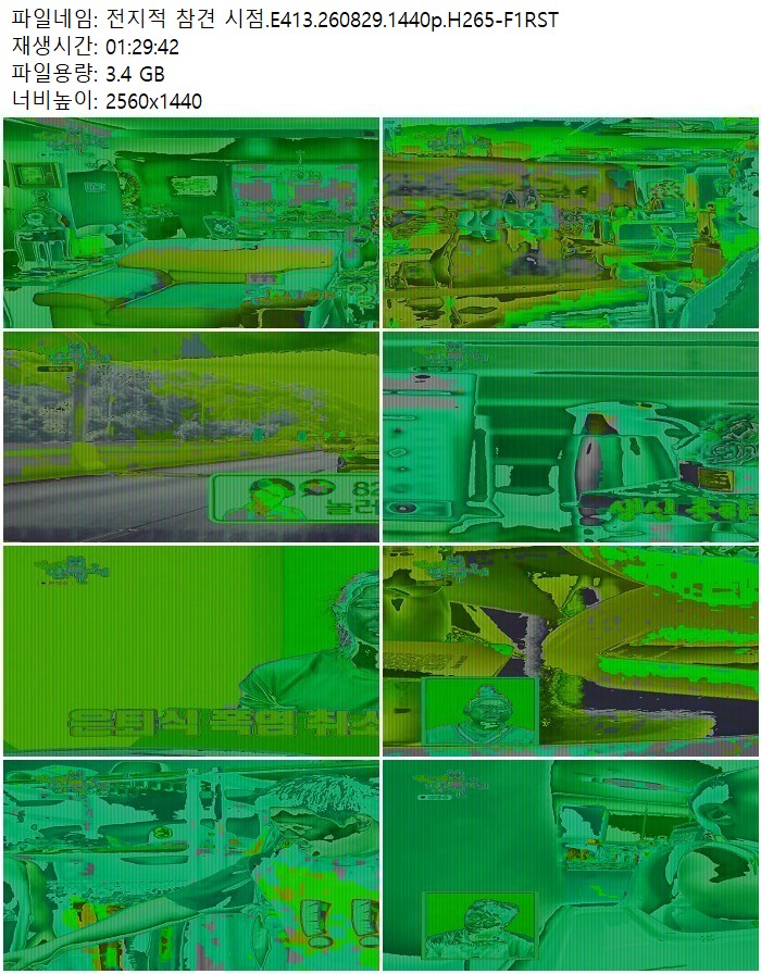 전지적 참견 시점.E413.260829.1440p.H265