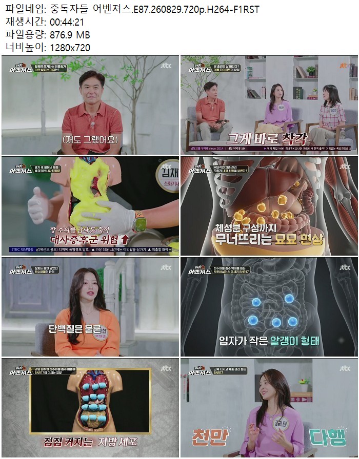중독자들 어벤져스.E87.260829.720p.H264