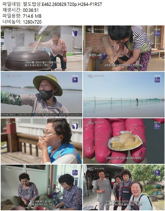 팔도밥상.E462.260829.720p.H264