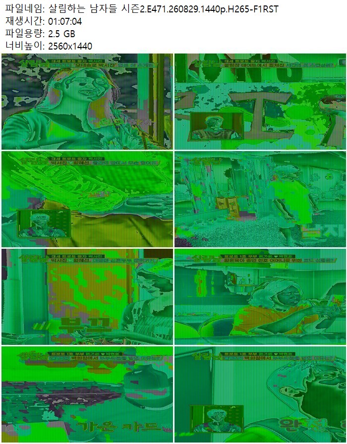 살림하는 남자들 시즌2.E471.260829.1440p.H265