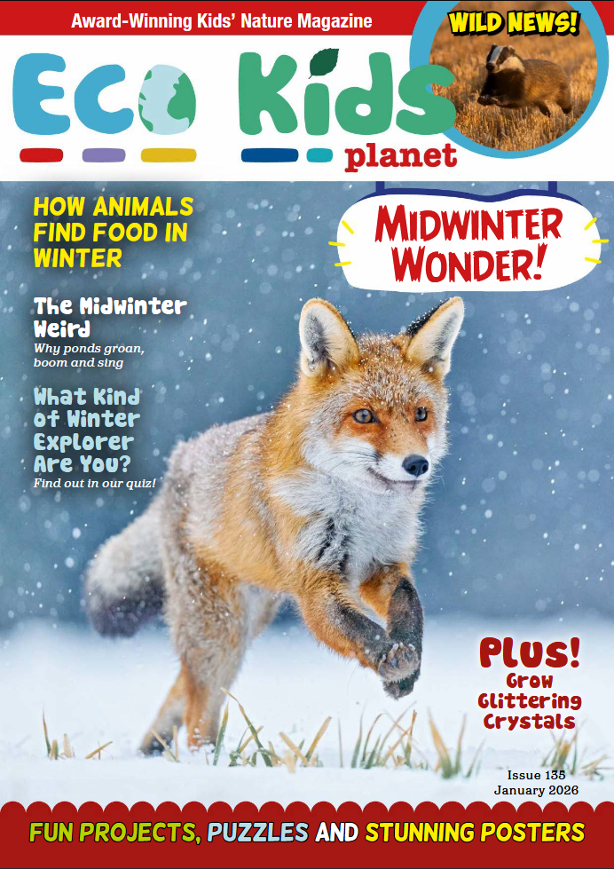 [매거진] Eco Kids Planet I135 01.2026