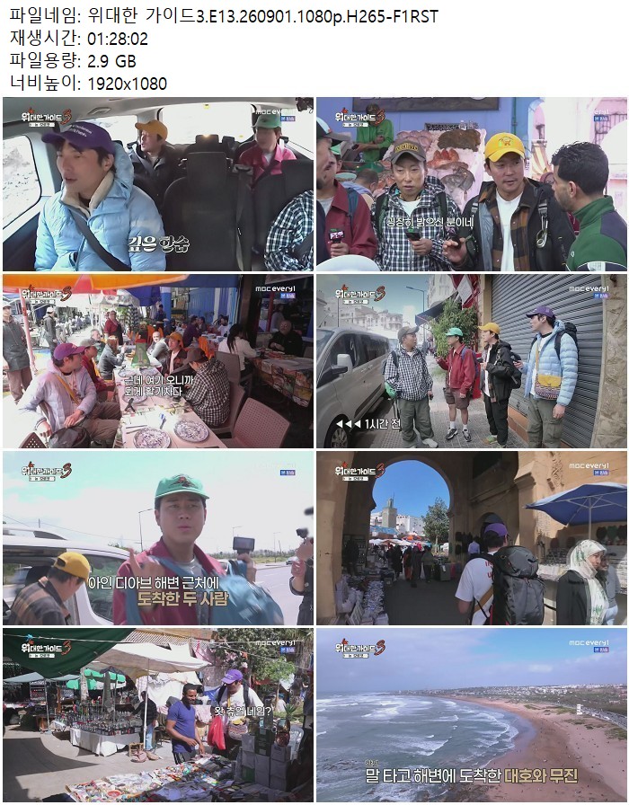 위대한 가이드3.E13.260901.1080p.H265