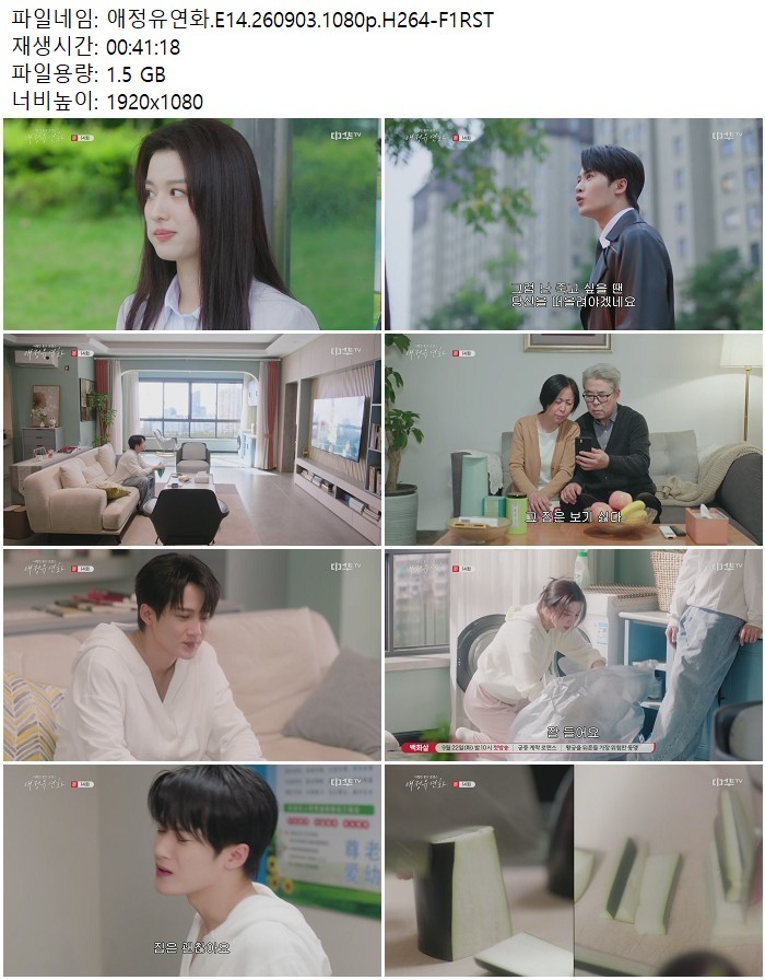 애정유연화.E14.260903.1080p.H264