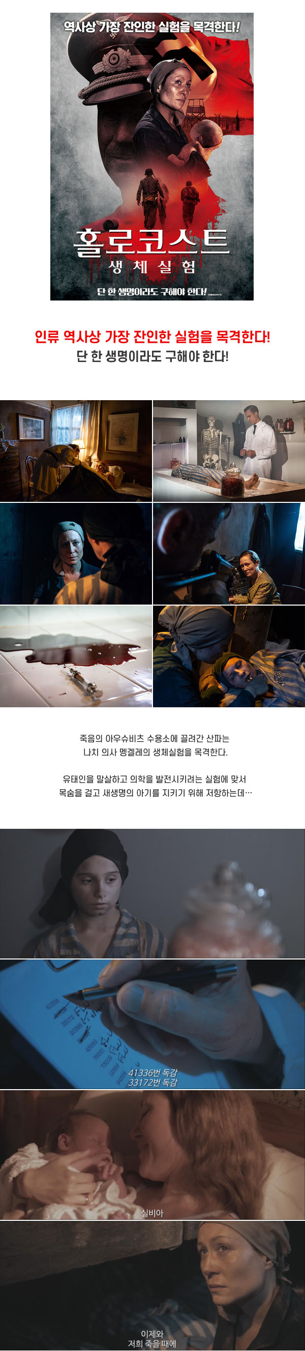 전 가족이 있어요 [ 홀로코스트 생체실험 ] 쌍둥이를 데려와요_bkmv