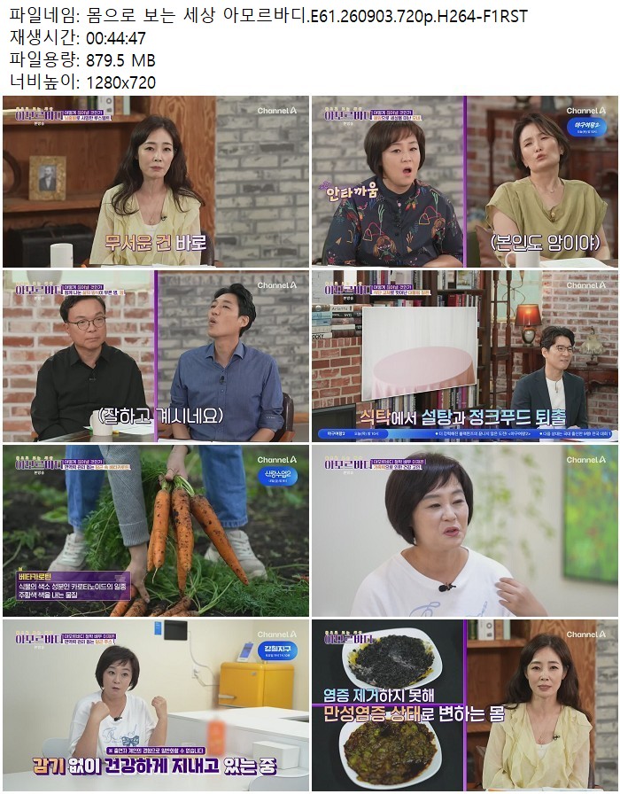 몸으로 보는 세상 아모르바디.E61.260903.720p.H264