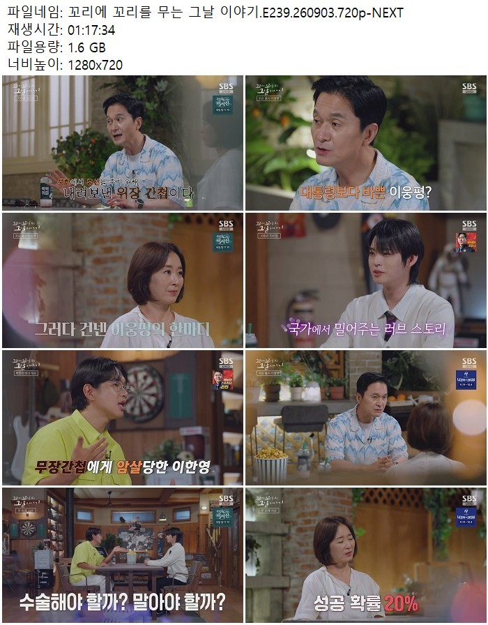 꼬리에 꼬리를 무는 그날 이야기.E239.260903.720p-NEXT