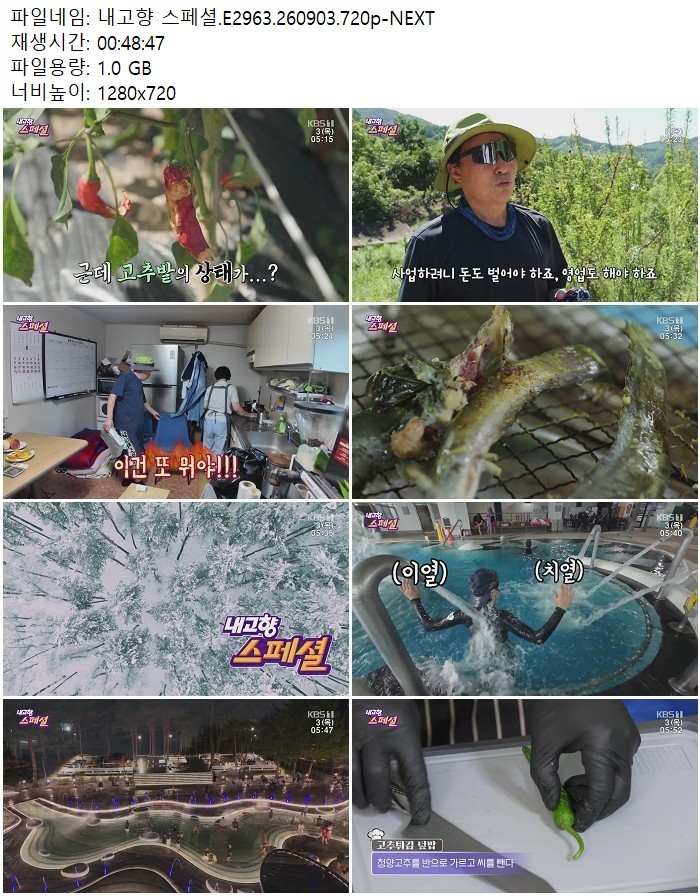 내고향 스페셜.E2963.260903.720p-NEXT