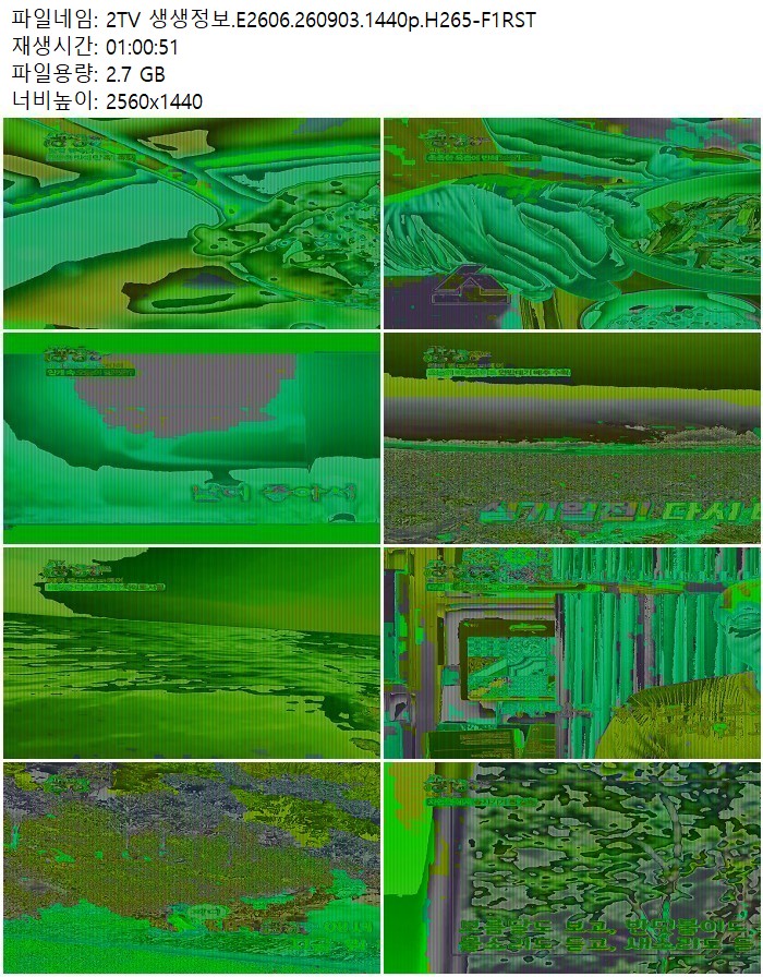 2TV 생생정보.E2606.260903.1440p.H265