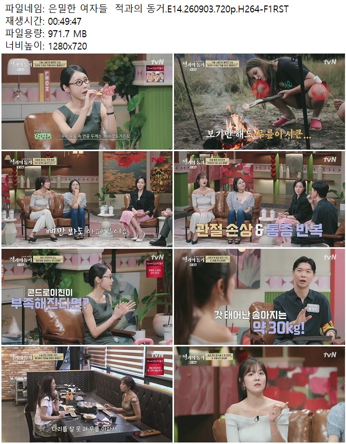은밀한 여자들  적과의 동거.E14.260903.720p.H264